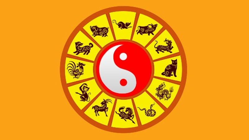 Tử vi ngày 3/11
